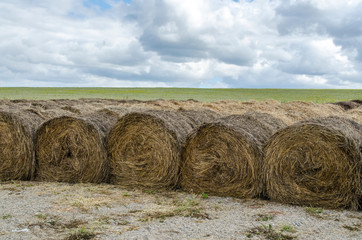 Twisted hay in the round bales
