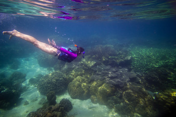 Woman swimming in water, Beautiful woman under water before dive to coral reef, woman snorkeling in blue mask, snorkel woman face in mask, tropical sea snorkeling, summer vacation activity