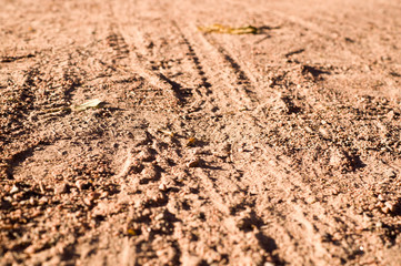 sandy path with cycle bike tire tracks with perspective. background, texture