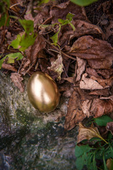 Golden Egg Metaphor Concept