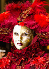 venetian carnival mask - looks