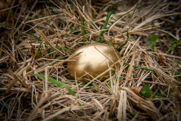 Golden Egg Metaphor Concept