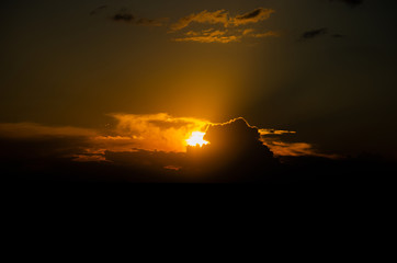 Sol.