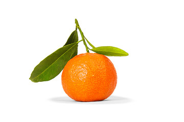 Klementine mit grünen Blättern auf weißem Hintergrund