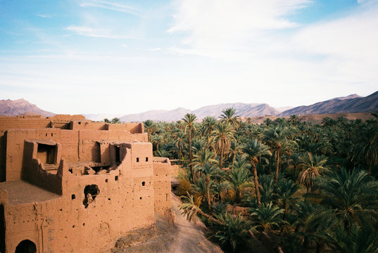 Oasis