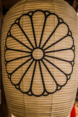 flower pattern on paper lantern