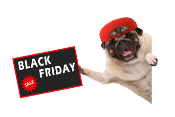 frolic pug puppy dog with red cap, holding up sale sign with text Black Friday, hanging sideways...