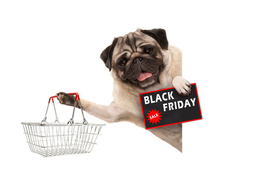 happy smiling pug puppy dog, with wire metal shopping basket and Black Friday Sale sign, behind white banner, isolated