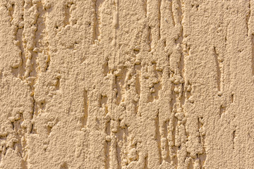 Texture of the decorative stucco bark beetle as a background