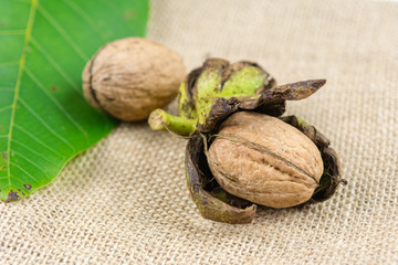 Fresh walnuts. Garden harvest. Healthy food.