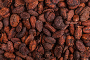 Aromatic raw cocoa beans background. Top view. Close up