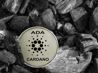 Can Cardano Reach $1 / Fujvdelj Aynqm : Cardano (ada) has been growing in recent months to reach the 6 th spot on the list of the biggest crypto at some point.