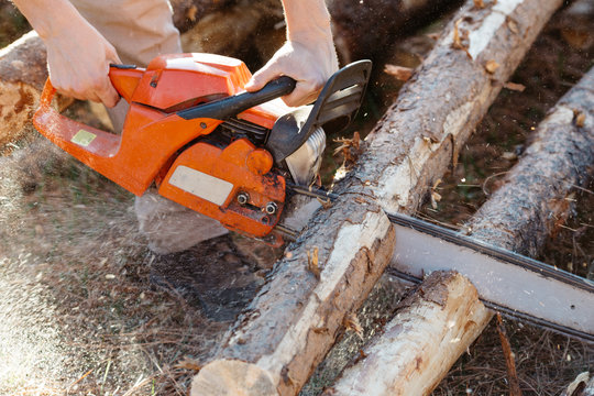 Man cutting firewood with chainsaw.