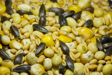 mélange soja blé tournesol maïs