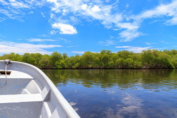 By boat through the mangrove forest. Cayo Arena, Punta Rucia, Dominican Republic.