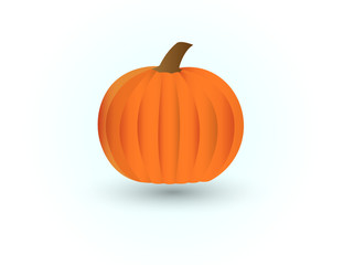 A ripe fresh organic orange pumpkin on white background vector illustration