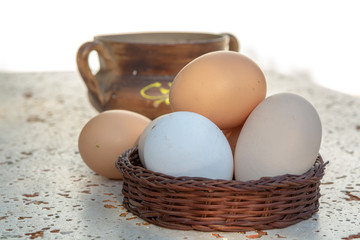 Fresh organic chicken eggs from cage free bio farm