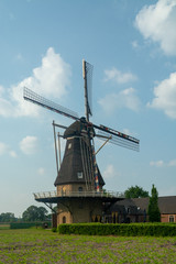 Fototapeta na wymiar Traditional old Dutch grain wind mill, Dutch countryside landscape