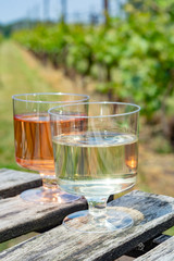 Dutch winery, white and rose wine tasting on vineyard in Brabant on outside terrace