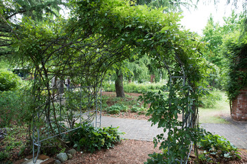 Green Garden Arch