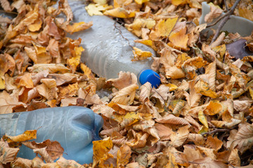 garbage lying in the autumn yellow fallen leaves, the ecological problem of mankind, environmental...