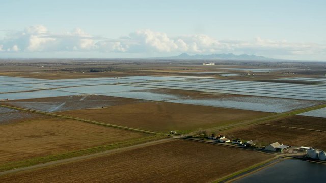 Aerial view of cultivated rice growing fields Sutter California