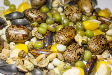 mélange ricin soja haricot mungo maïs lupin