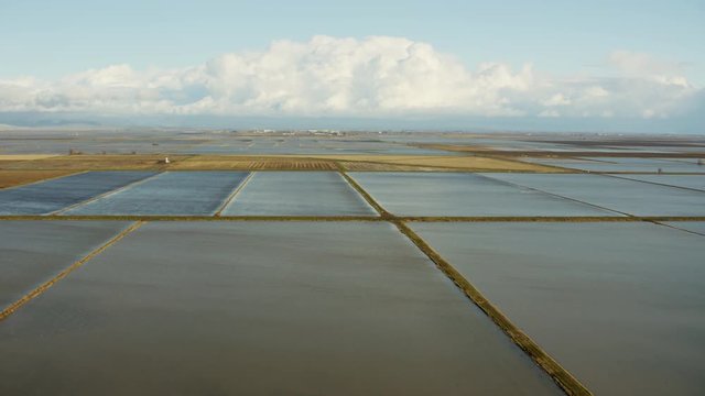 Aerial view of cultivated rice growing fields Sutter Northern California