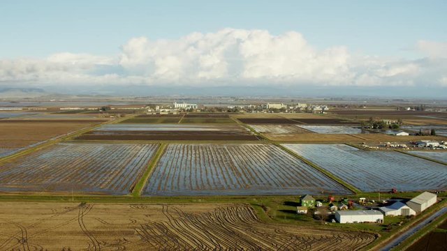 Aerial view of commercial rice growing fields Northern California