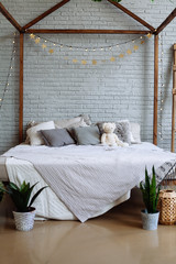 Modern bedroom interior with plants, pillows and teddy bear
