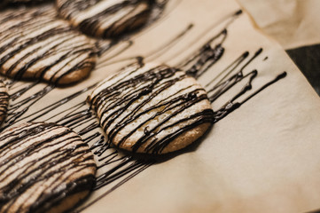 Thin, round sugar cookies freshly baked for Christmas decorated with semi-sweet chocolate, homemade sweet treats for the holiday season