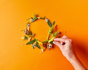 beautiful frame of flowers and leaves