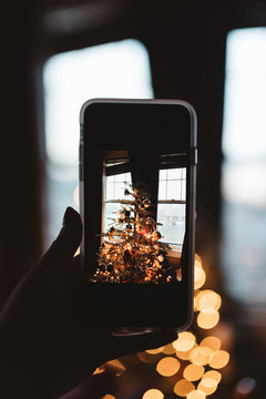 A person taking a photo of their christmas tree