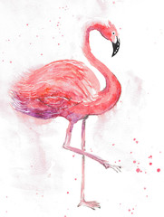watercolor hand drown flamingo