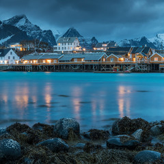 Norway - Lofoten Island - Blue hour morning in Reine