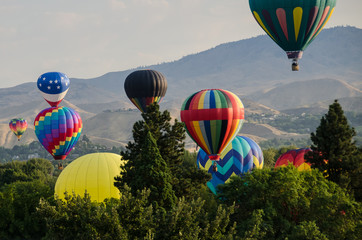 Fototapeta premium Early Morning Launch of Hot Air Balloons