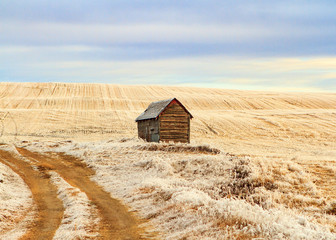 Small grain shed on the prairie
