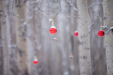 Red ornaments in the forest