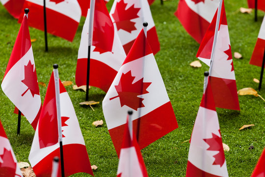 Remembrance Day  Canada