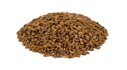 Phacelia Cover Crop Seed Heap. Isolated Macro.