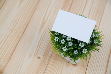 Blank business cards and little decorative tree in white vase on wooden working table with copy space for add text ID. and logo, business company concept.