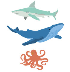 Vector Sea Animals.