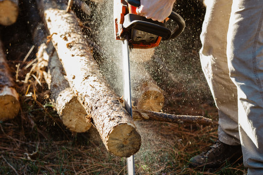 Man cutting firewood with chainsaw.
