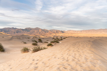 Golden light ends the day on the dunes of death valley