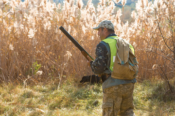 Hunters with a german drathaar and spaniel, pigeon hunting with dogs in reflective vests	