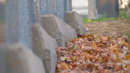 old cemetery in autumn, halifax, nova scotia