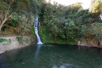 Waterfall in Centennial Gardens, Napier