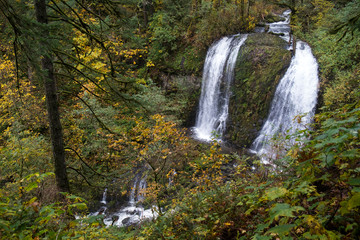 waterfall in forest