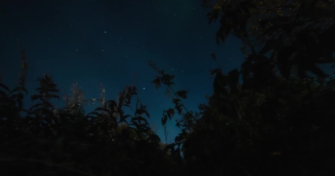 Northern lights timelapse with trees as a silhouette