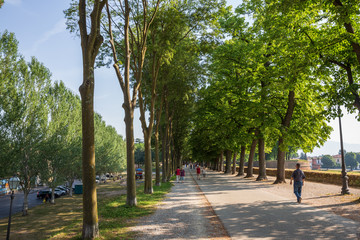 Walking around the magnificent 4 km of walls encircling the beautiful city of Lucca in Tuscany, Italy